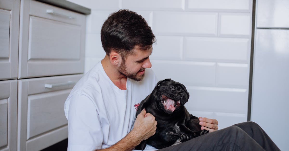 Dog Care Routine Basics: A Practical Checklist For New Owners editorial image for Petatet.