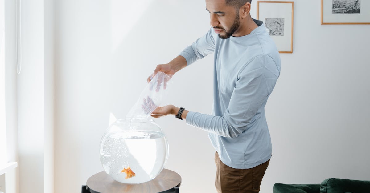 How To Prepare Your Home Before Bringing A New Pet Home contextual article image for Petatet.