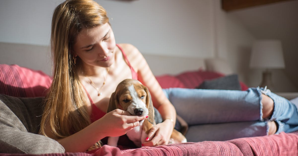 How To Prepare Your Home Before Bringing A New Pet Home editorial image for Petatet.