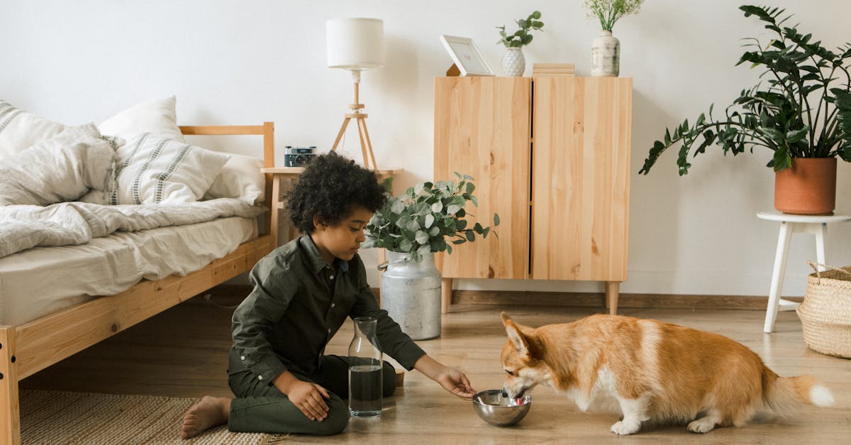 Pet-Safe Home Checklist: Small Fixes That Prevent Common Problems editorial image for Petatet.