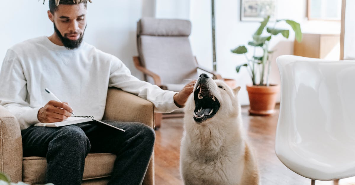 Pet Sitter Notes That Actually Help contextual article image for Petatet.