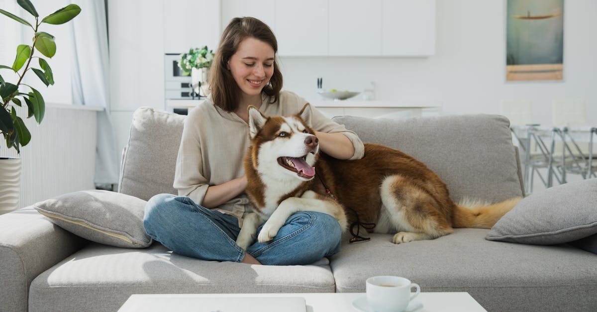 Pet Sitter Notes That Actually Help editorial image for Petatet.