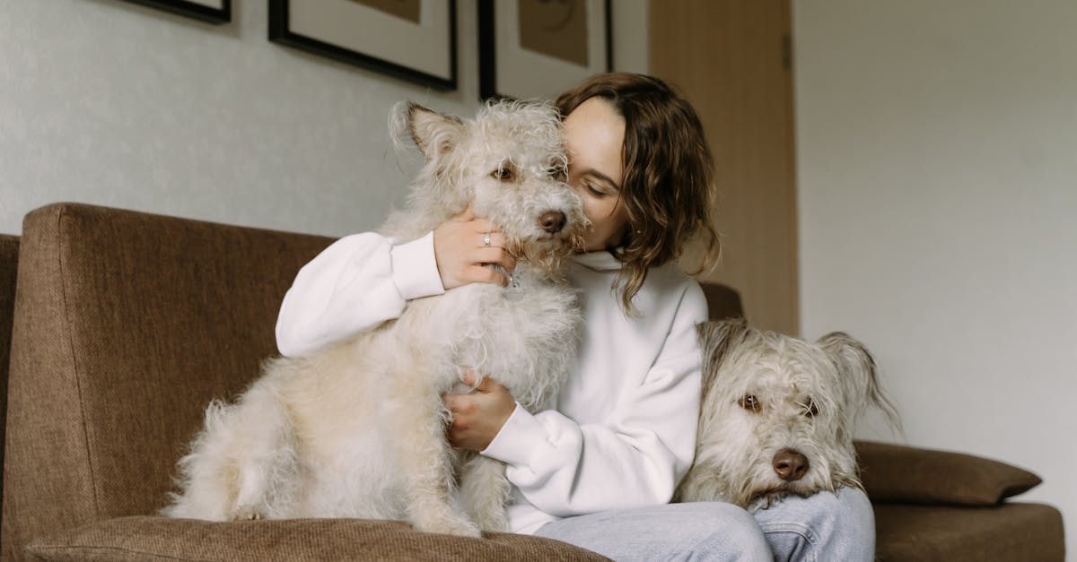 Editorial image for A Printable Pet Sitter Notes Sheet For Busy Weeks.