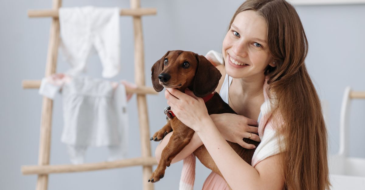 A Pet Care Backup Plan For Unexpected Long Days supporting image 1 for Petatet.
