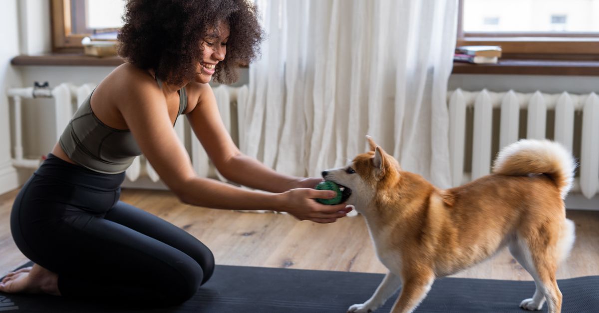 A Pet Care Backup Plan For Unexpected Long Days editorial image for Petatet.