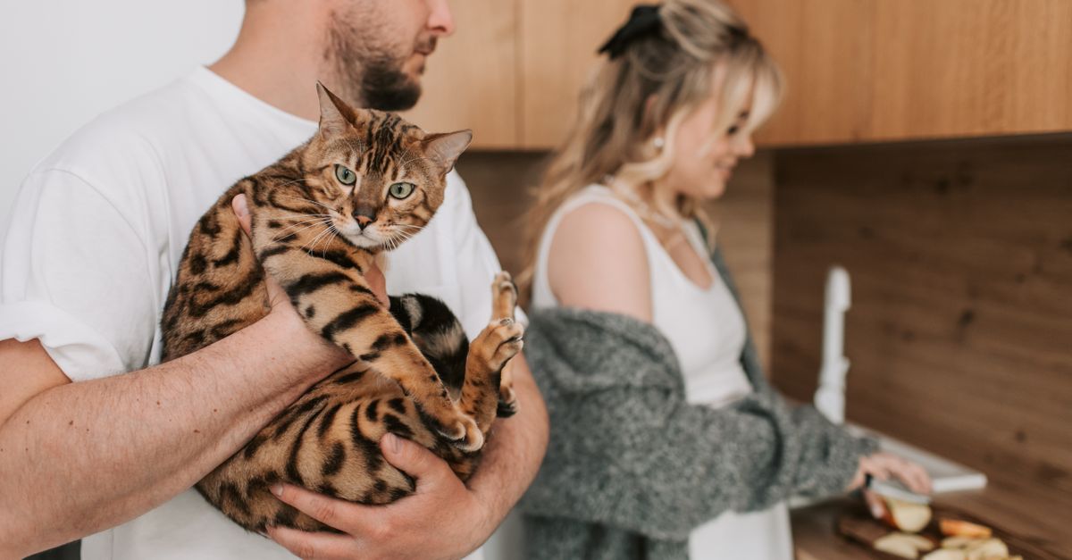 Pet-Safe Home Checklist: Small Fixes That Prevent Common Problems editorial image for Petatet.