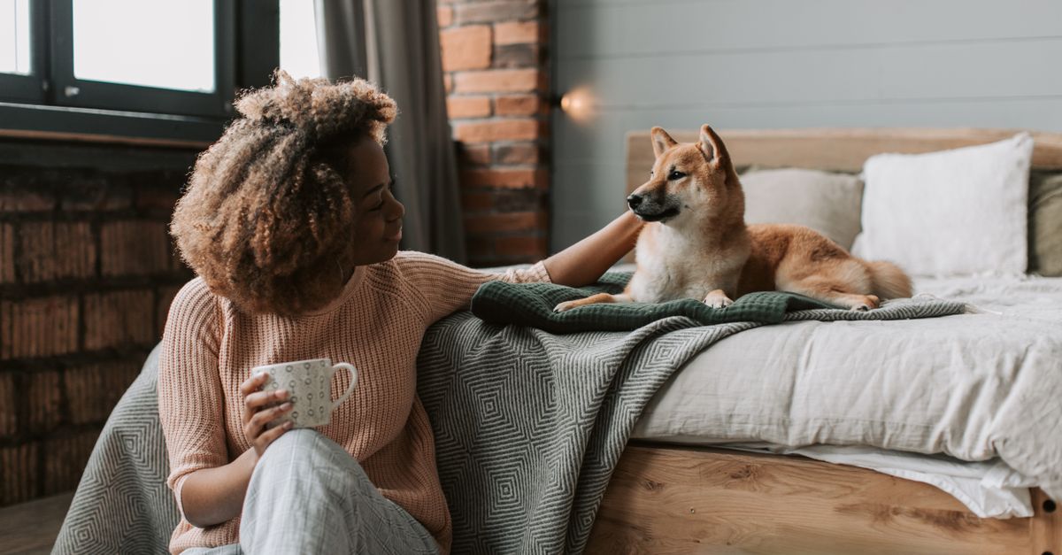 A person swapping blankets between two pet beds for scent introduction.